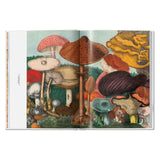 The Gourmand's Mushroom. A Collection of Stories and Recipes (English)