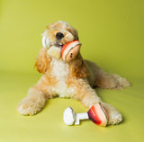 Espawsso Muttini Dog Toy