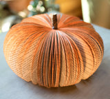 Book Pumpkin Fall Decor Thanksgiving Halloween Hosting Gift: Small