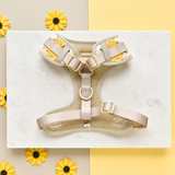 Sunflower Patch Adjustable Neck Harness: S