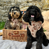 Theo Embroidered Teddy Adjustable Neck Harness: L