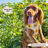 Sunflower Patch Adjustable Neck Harness: M
