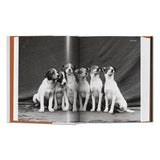 The Dog in Photography 1839–Today (German, French, English)