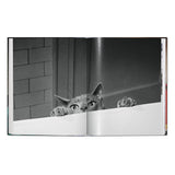 Walter Chandoha. Cats. Photographs 1942–2018 (German, French, English)