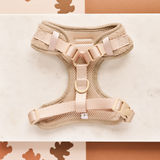 Theo Embroidered Teddy Adjustable Neck Harness: S