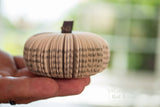 Fall Decor Book Pumpkin Cutie Halloween Decor Book Lover
