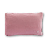Mirror Mirror Needlepoint Pillow