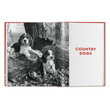 Walter Chandoha. Dogs. Photographs 1941–1991 (German, French, English)