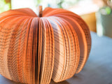 Book Pumpkin Fall Decor Thanksgiving Halloween Hosting Gift: Small