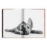 Walter Chandoha. Dogs. Photographs 1941–1991 (English)