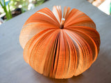 Book Pumpkin Fall Decor Thanksgiving Halloween Hosting Gift: Small
