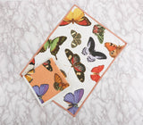 Metamorphosis Napkin