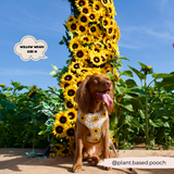 Sunflower Patch Adjustable Neck Harness: S