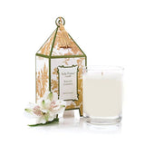 Elegant_Gardenia_Classic_Toile_Pagoda_Box_Candle_Jimmy_Delaurentis