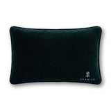 Emails_Finding_Me_Needlepoint_Pillow_Jimmy_Delaurentis_4