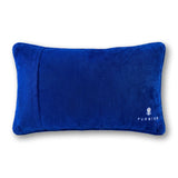 High_End_Gay_Needlepoint_Pillow_Jimmy_Delaurentis_4