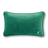 Hot_Mess_Needlepoint_Pillow_Jimmy_Delaurentis_4