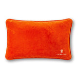 Leo_Needlepoint_Pillow_Jimmy_Delaurentis_4
