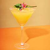 Raye_Stemmed_Crystal_Martini_Glasses_Set_of_2_Jimmy_Delaurentis_3