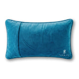 Straight_Needlepoint_Pillow_Jimmy_Delaurentis_4