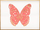 Butterfly Royale, Pink 1 Framed