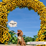 Sunflower Patch Adjustable Neck Harness: S