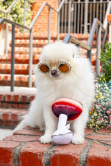 Espawsso Muttini Dog Toy