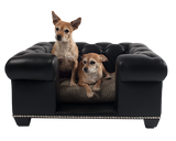 Danielle Pet Sofa : Black Leather - By JAMES Jimmy DeLaurentis