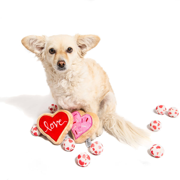 Love Sugar Cookie Dog Toy