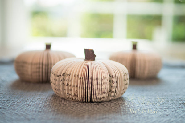 Fall Decor Book Pumpkin Cutie Halloween Decor Book Lover