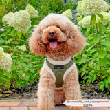 Khaki Quilted Adjustable Neck Harness: L