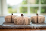 Fall Decor Book Pumpkin Cutie Halloween Decor Book Lover