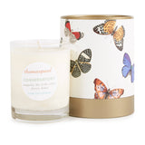 CONSERVATORY SOY CANDLE