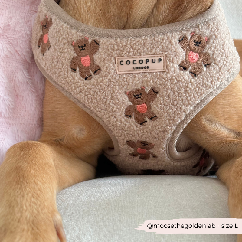 Theo Embroidered Teddy Adjustable Neck Harness: M