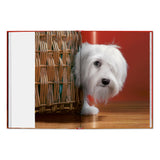 Walter Chandoha. Dogs. Photographs 1941–1991 (English)