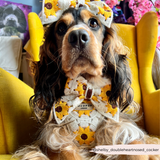 Sunflower Patch Adjustable Neck Harness: M