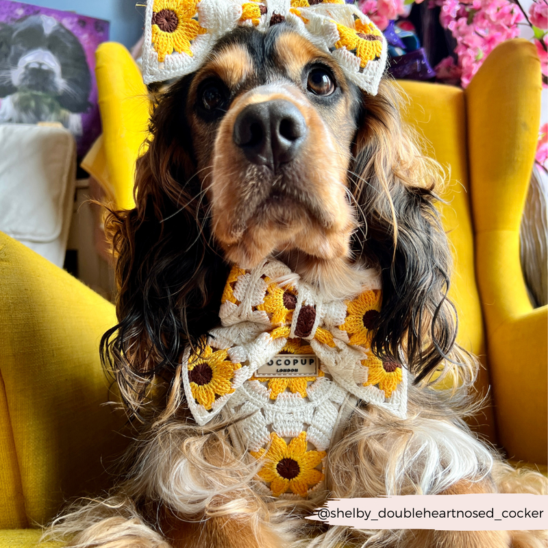 Sunflower Patch Adjustable Neck Harness: M