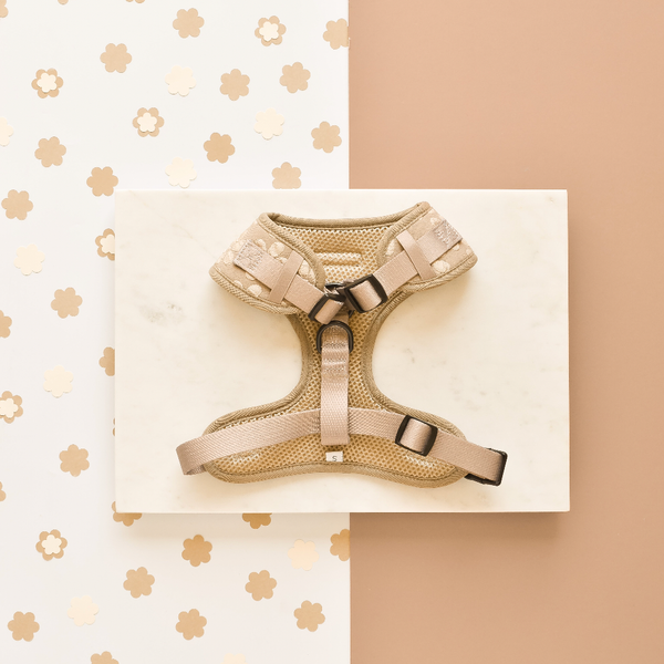 LUXE Adjustable Neck Harness - Mocha Flower: S