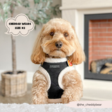 Black Aviator Adjustable Neck Harness: L