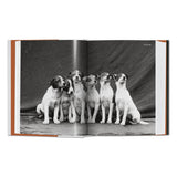 The Dog in Photography 1839–Today (German, French, English)
