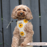 Sunflower Patch Adjustable Neck Harness: M