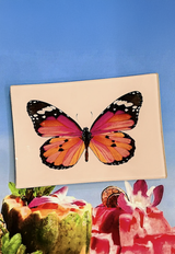 Pink Sardinia Butterfly Decoupage Glass Tray