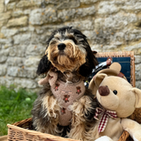Theo Embroidered Teddy Adjustable Neck Harness: M