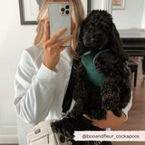 LUXE Velvet Adjustable Neck Harness - Forest Green: S