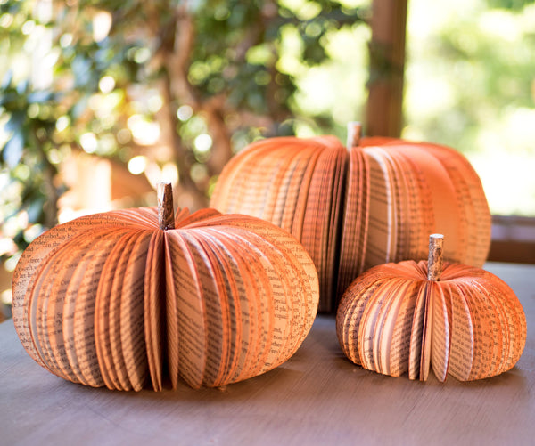 Book Pumpkin Fall Decor Thanksgiving Halloween Hosting Gift: Small