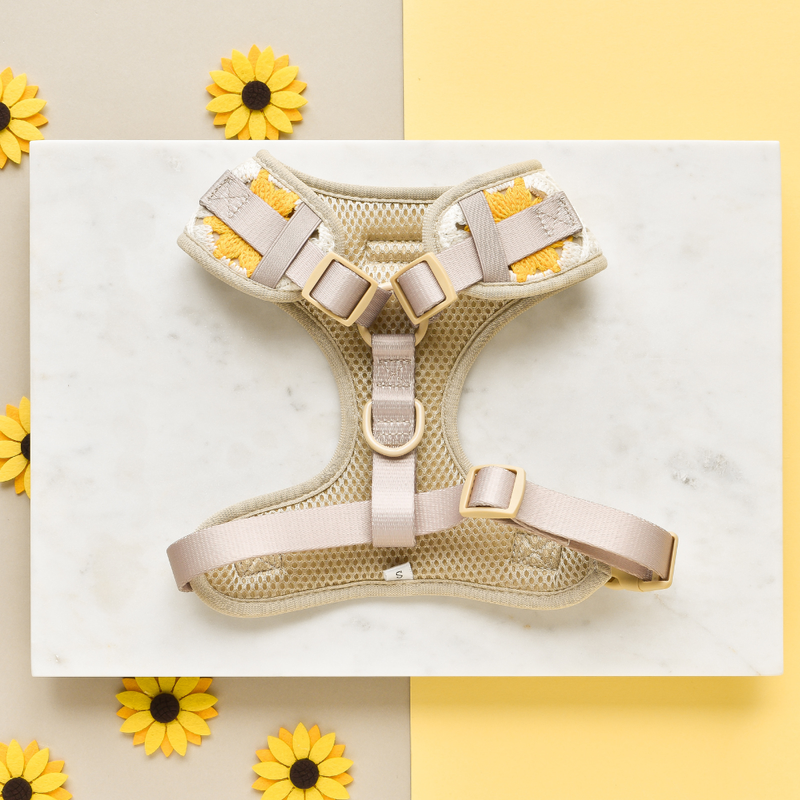 Sunflower Patch Adjustable Neck Harness: M