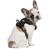 NFL Philadelphia Eagles Front Clip Pet Harness: Large