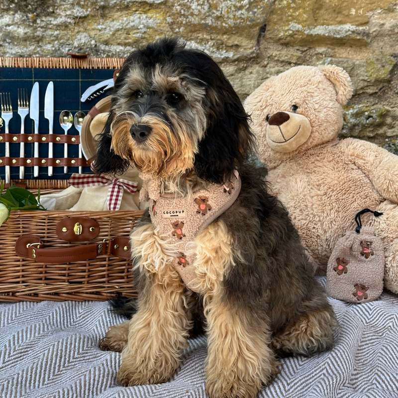 Theo Embroidered Teddy Adjustable Neck Harness: S