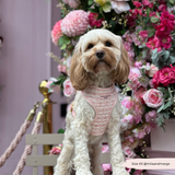 Pink Textured Tweed Adjustable Neck Harness: M