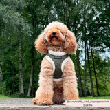 Khaki Quilted Adjustable Neck Harness: L
